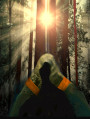sol atraves del bosque II